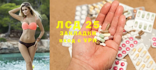 ГАЛЛЮЦИНОГЕННЫЕ ГРИБЫ Абинск