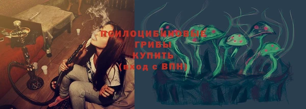 ГАЛЛЮЦИНОГЕННЫЕ ГРИБЫ Абинск