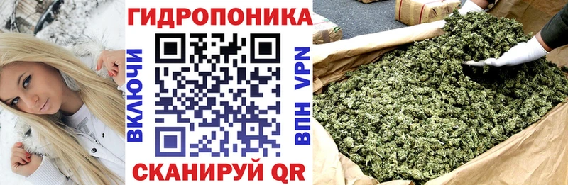Шишки марихуана сатива Куртамыш